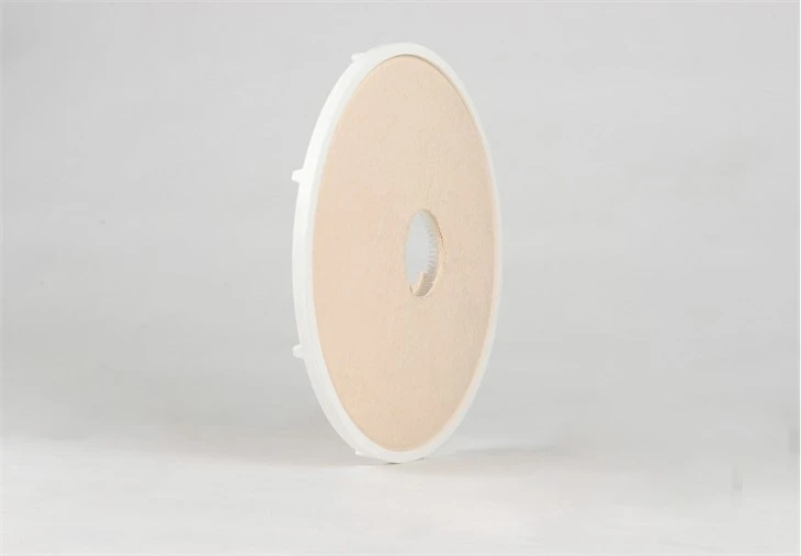 china Depth Filtration Capsule